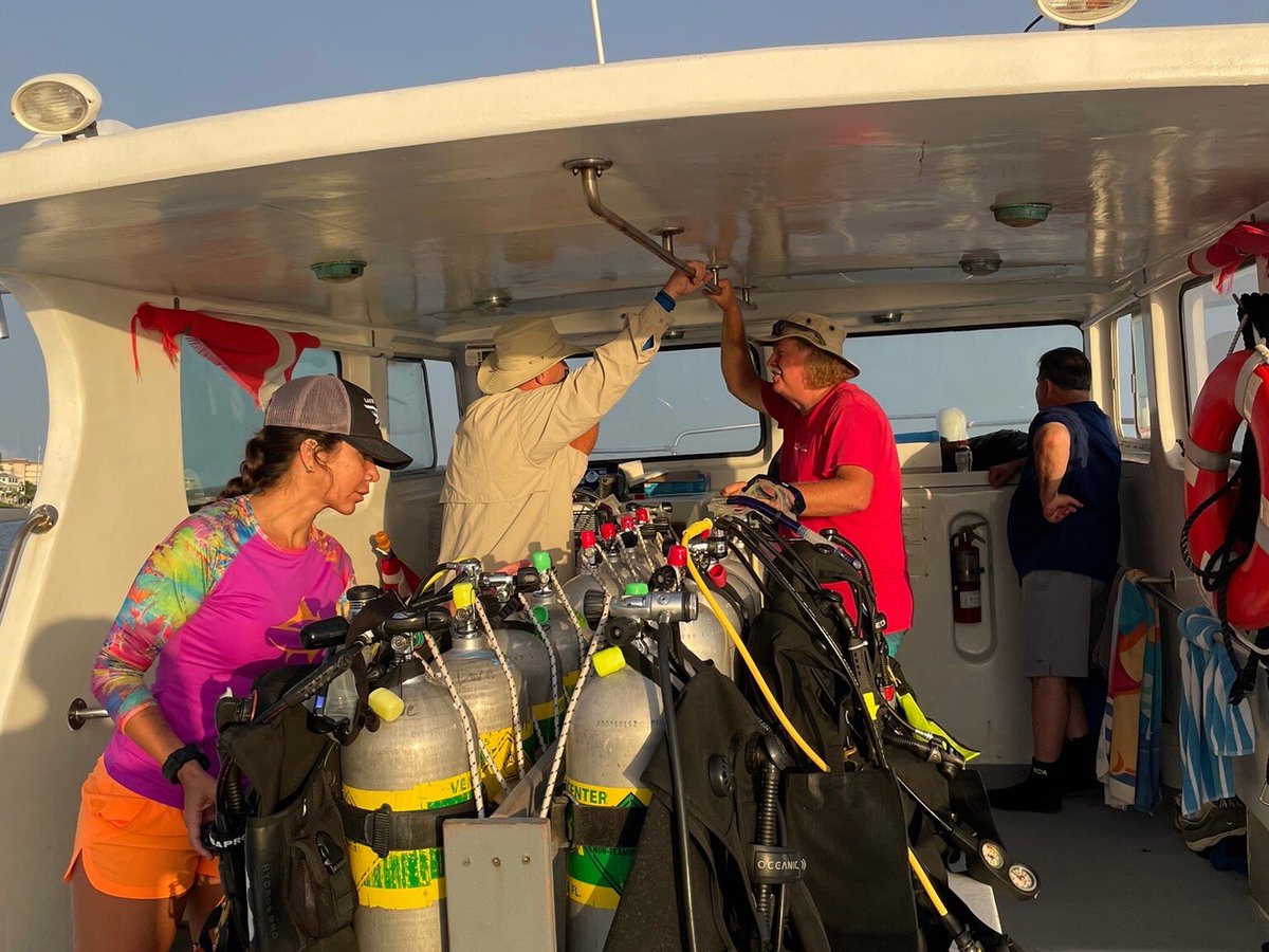 Venice Dive Charter (Florida) All You Need to Know BEFORE You Go