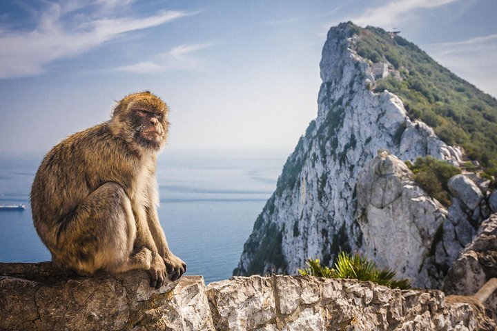 THE 15 BEST Things To Do In Gibraltar 2022 With Photos Tripadvisor   Caption 