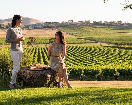 best yarra valley winery tours
