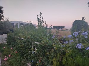Viaggiatori