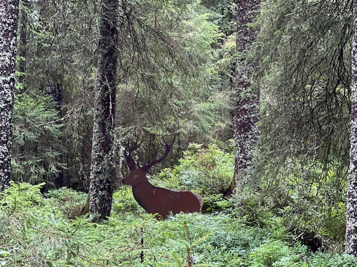 öffnungszeiten post bernau im schwarzwald