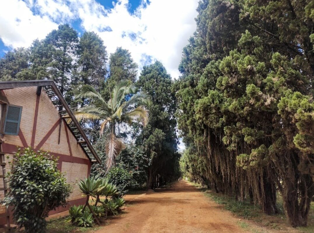 FAZENDA SANTA LUZIA (Itapetininga) - 2023 Qué Saber Antes De Ir - Lo ...