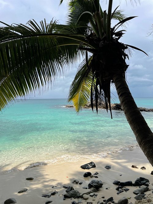 Hilton Seychelles Northolme Resort And Spa Updated 2022 Prices And Hotel Reviews Mahe Island