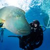 allyunderwater