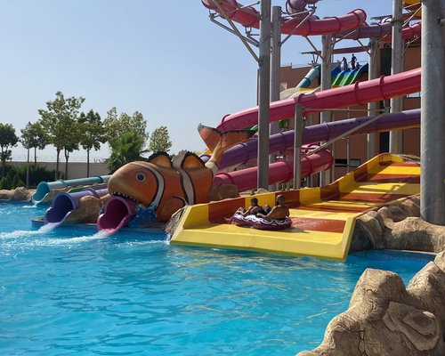 Aquapark Istralandia - Human Resources Manager - Aquapark