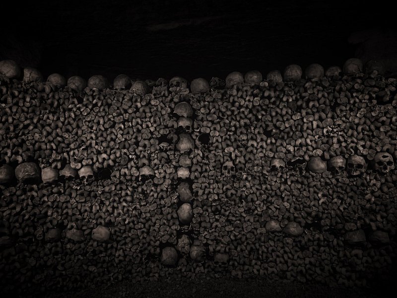 Skulls arranged neatly in the Paris Catacombs
