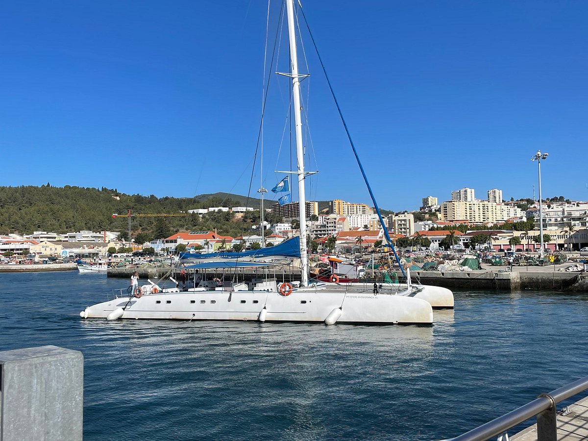 catamaran vertigem azul