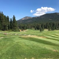 Plumas Pines Golf Course - All You Need to Know BEFORE You Go (2024)