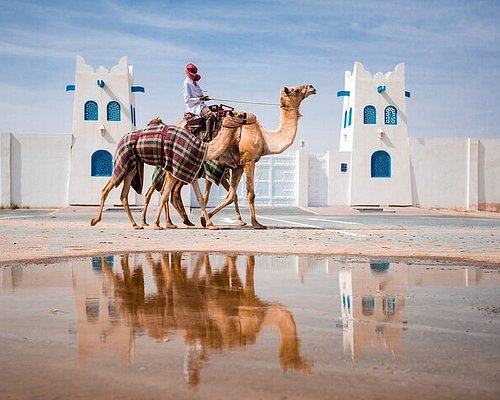 qatar walking tour