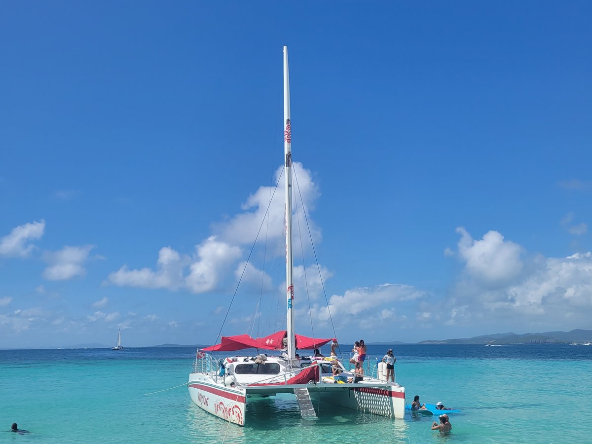 salty dog catamaran fajardo puerto rico