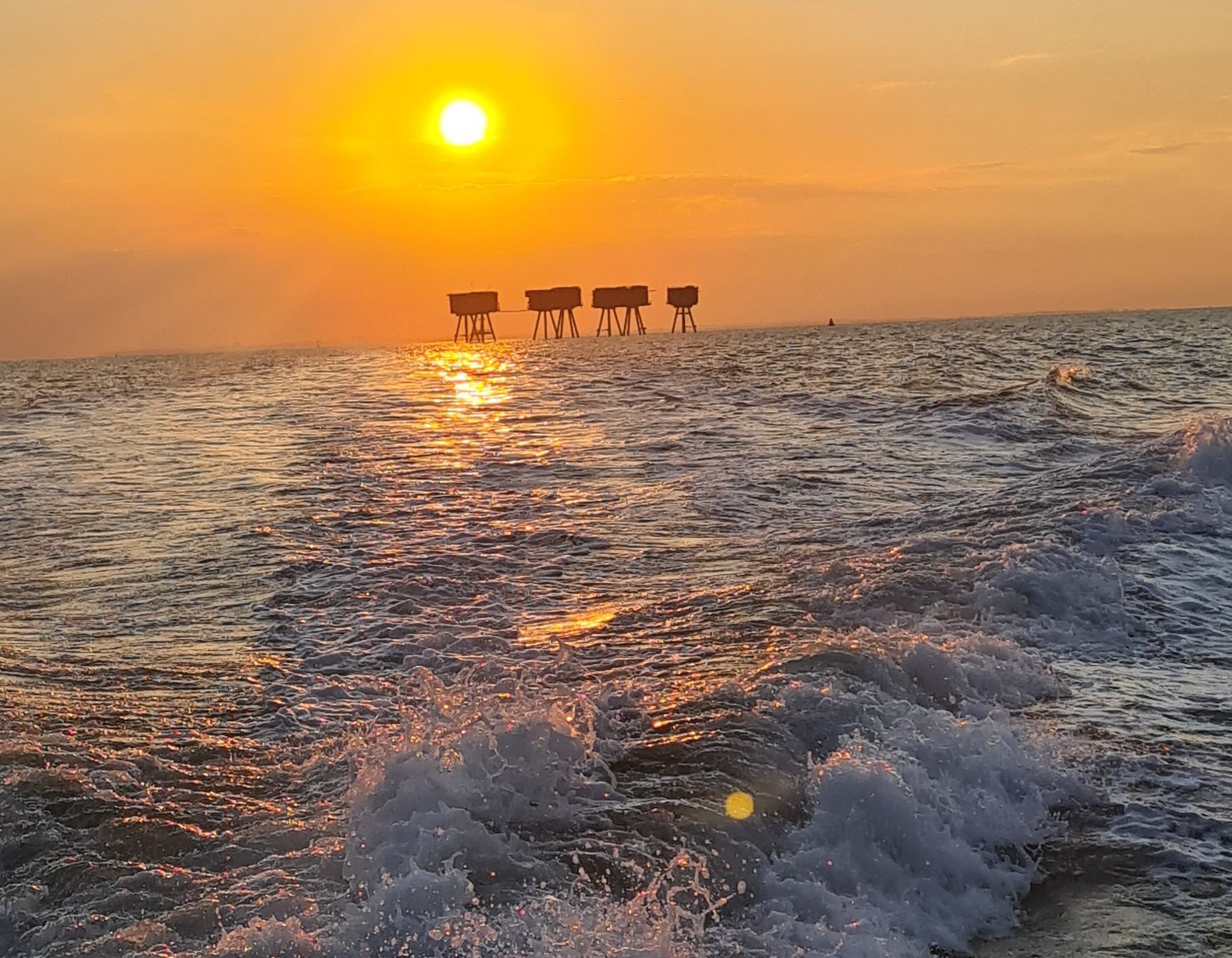 Whitstable Boat Trips/tours - All You Need to Know BEFORE You Go (2025)