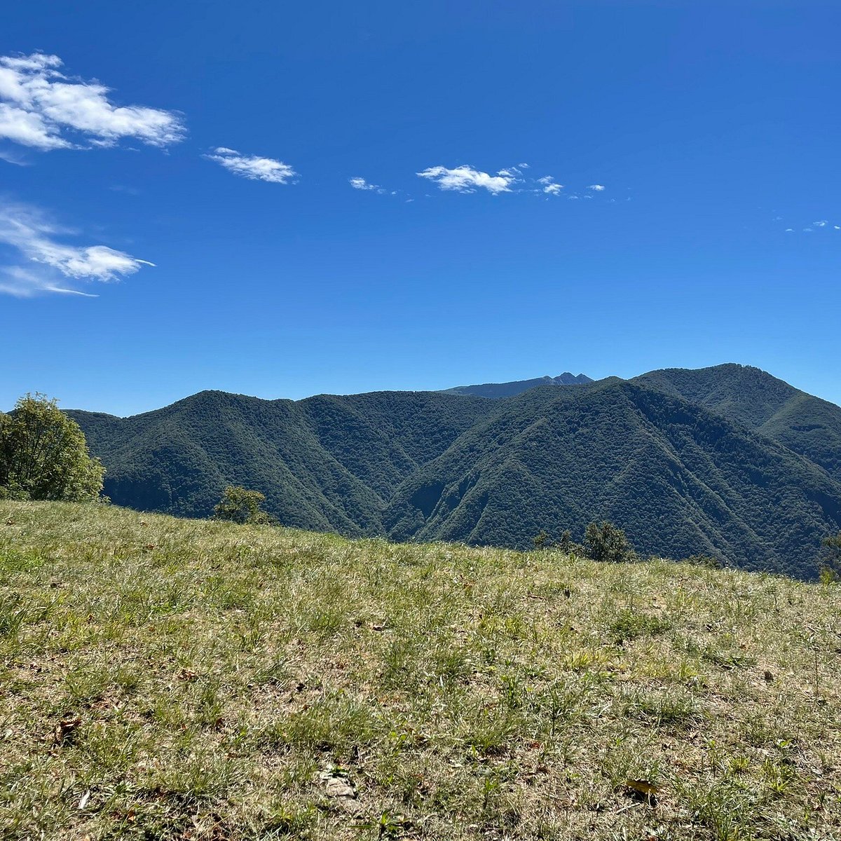 Funicolare Monte Brè, Лугано: лучшие советы перед посещением - Tripadvisor