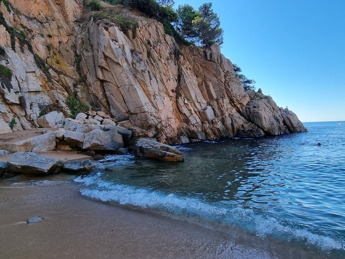 Imagen 10 de Platja d’es Codolar