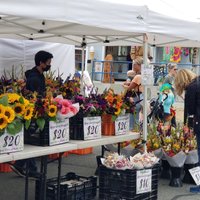 Anacortes Farmer's Market - All You Need to Know BEFORE You Go (2024)