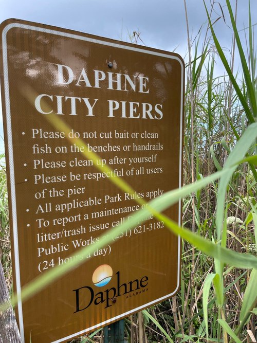 Daphne review images