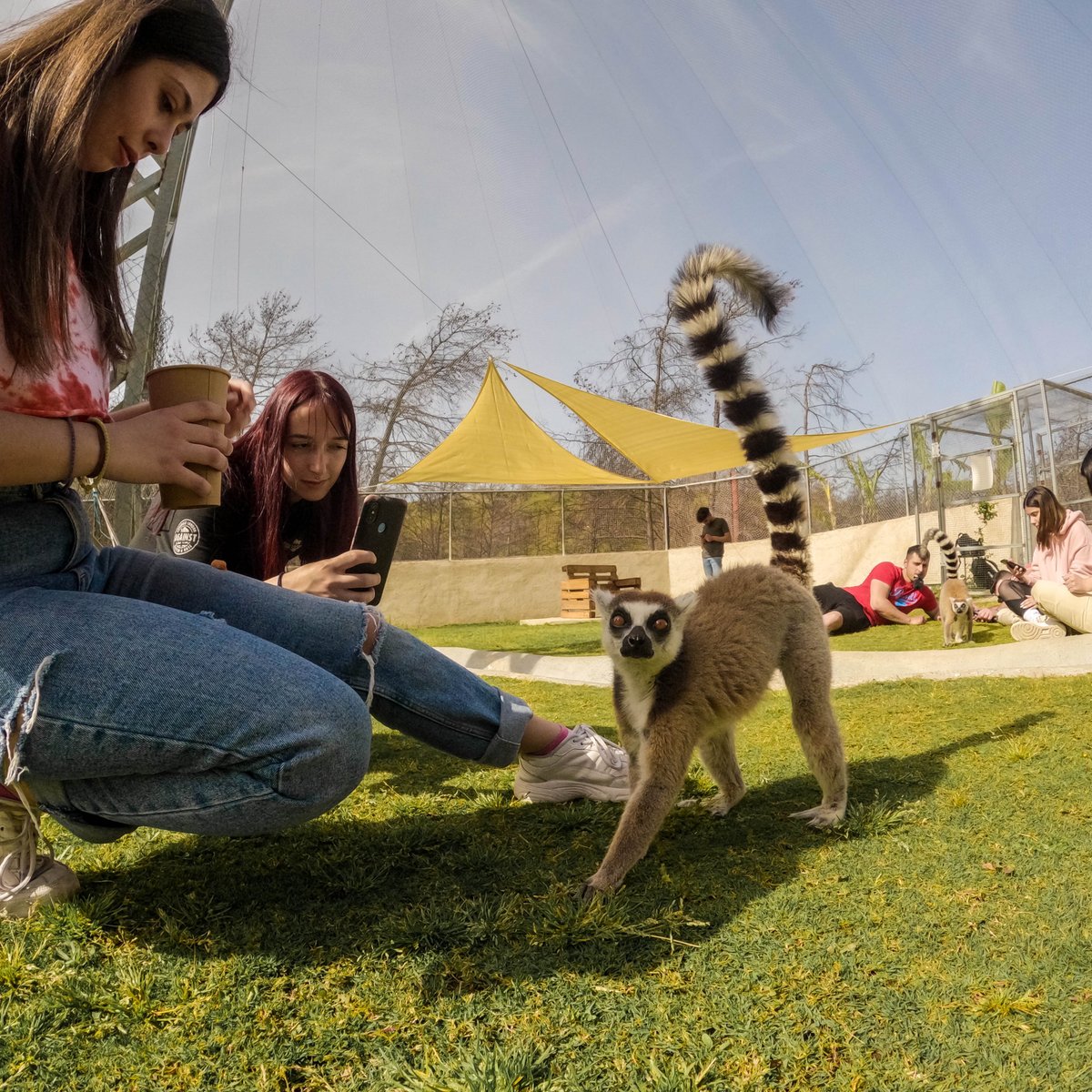 Farma of Rhodes Petting Zoo, Остров Родос: лучшие советы перед посещением -  Tripadvisor