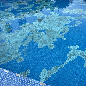 The missing tiles in the pool