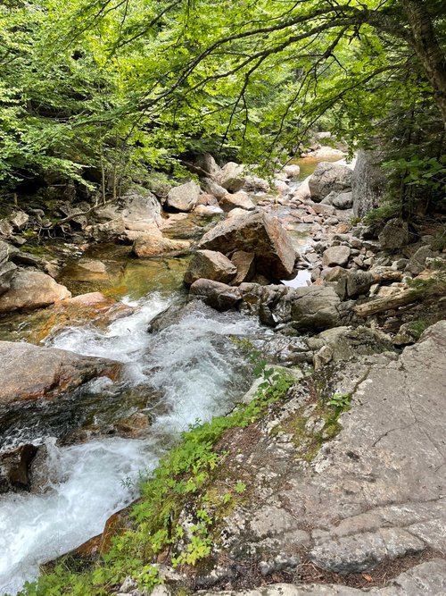 New Hampshire TrailTrekker15 review images