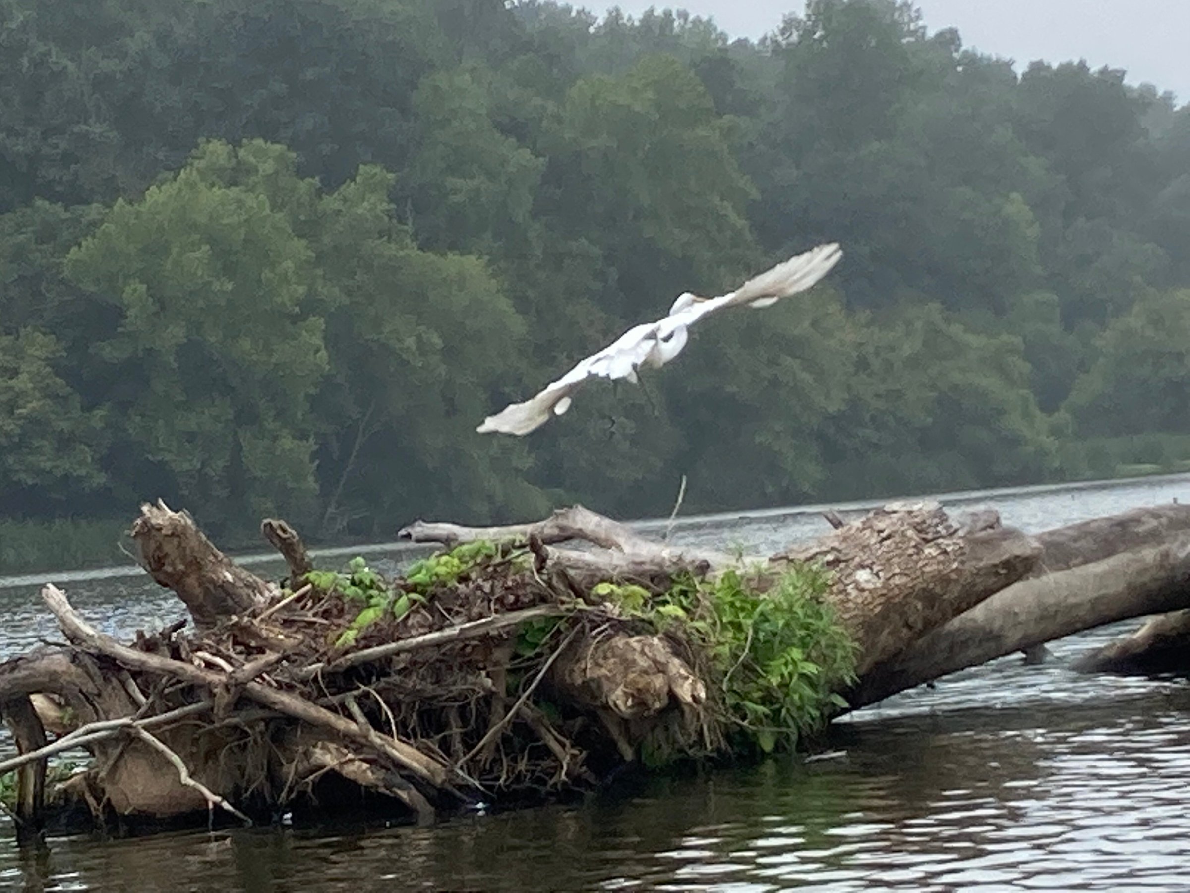 Haw River Canoe & Kayak (Saxapahaw) All You Need to Know BEFORE You Go