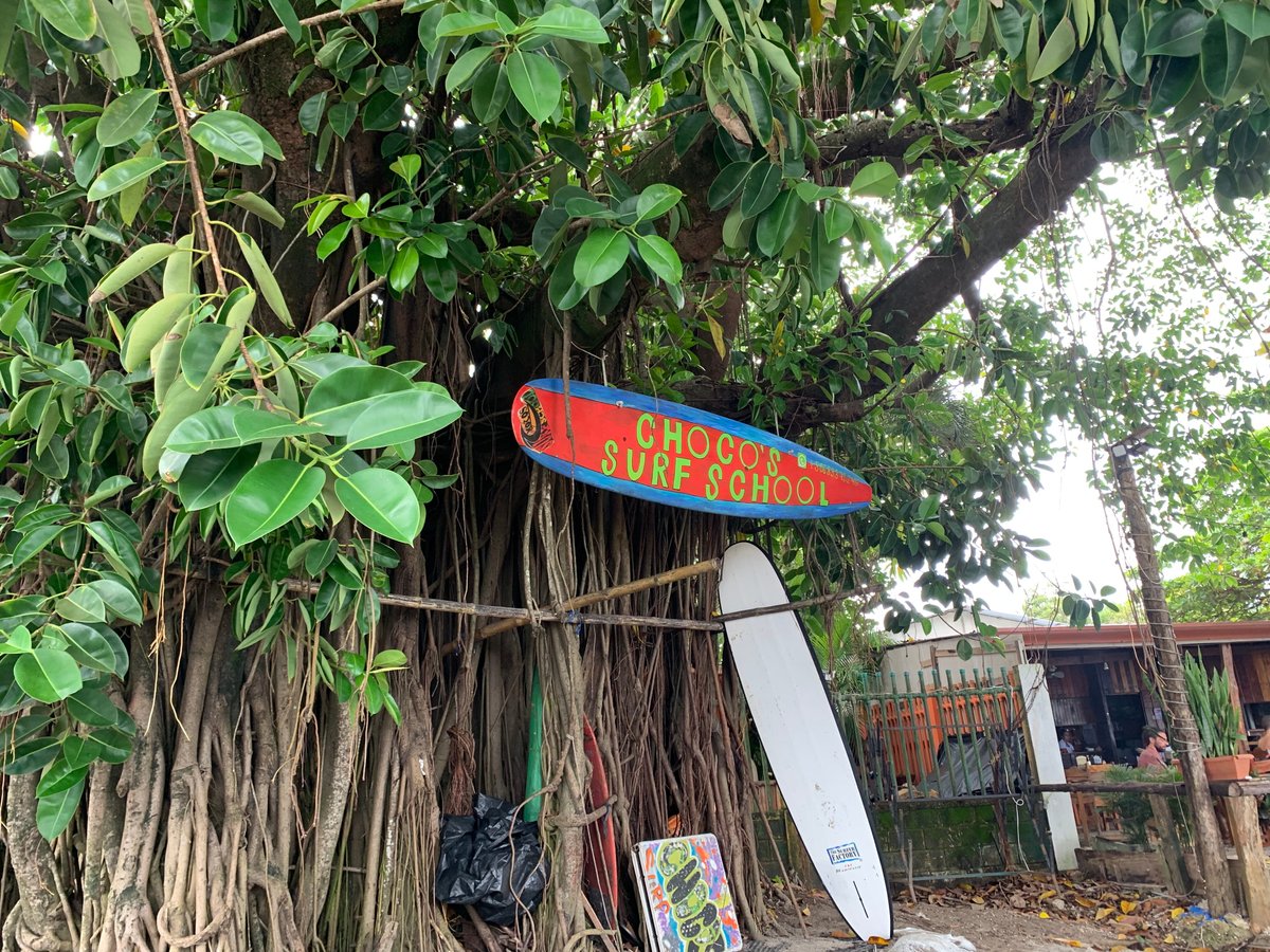 Choco's Surf School (Playa Samara) - All You Need to Know BEFORE You Go