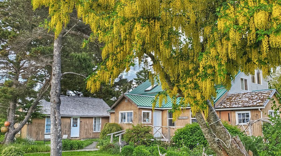the property