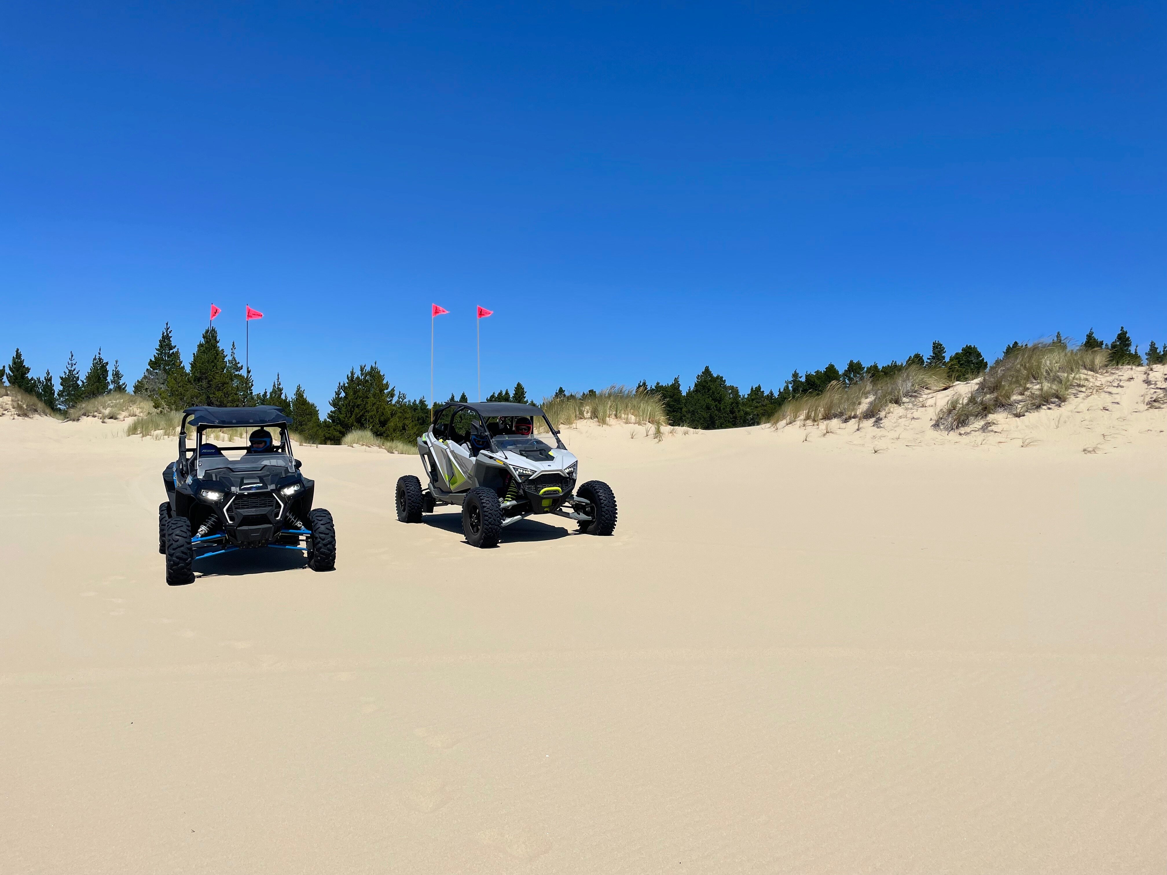 spinreel dune buggy and atv rentals and tours