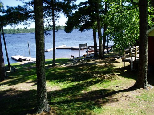 POINT'O'PINES CAMP - Lodge Reviews (Fort Frances, Ontario)