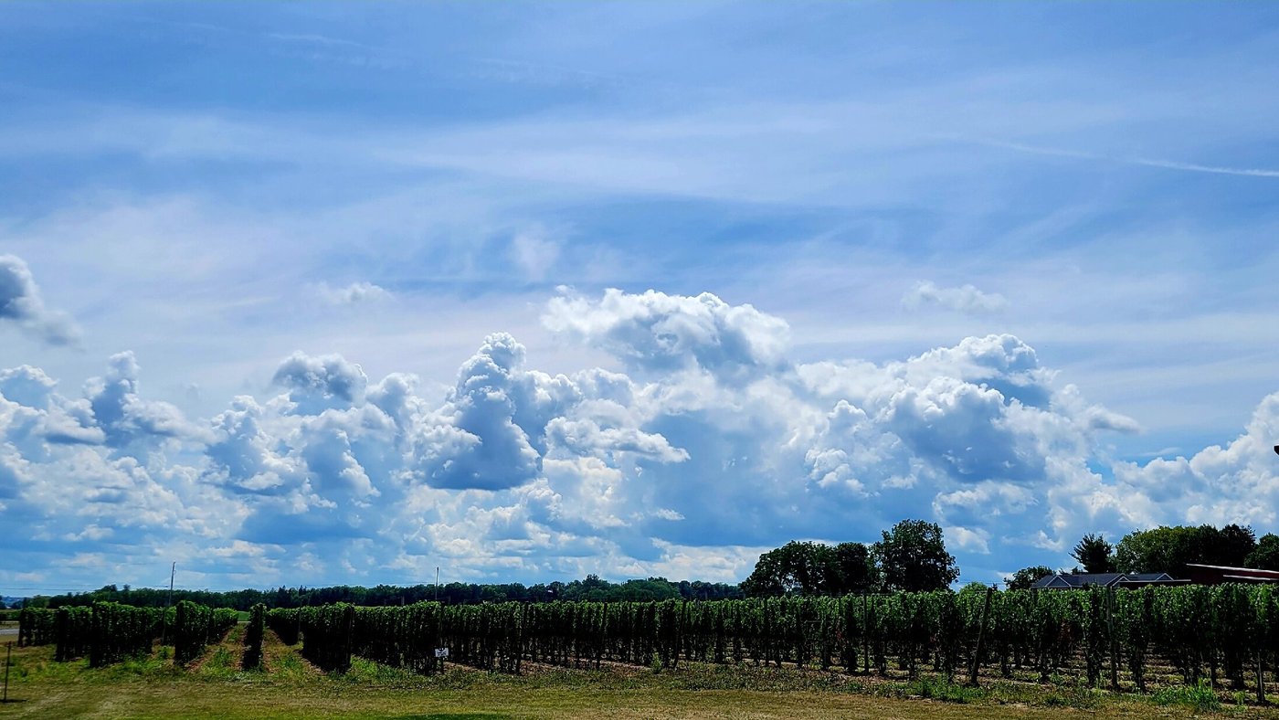 Kemmeter Wines (2025) - All You Need to Know BEFORE You Go (with Reviews)