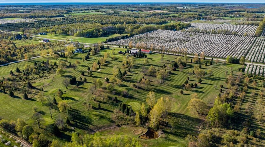 Birdseye view of the 9 holes with the Cherry Blossoms