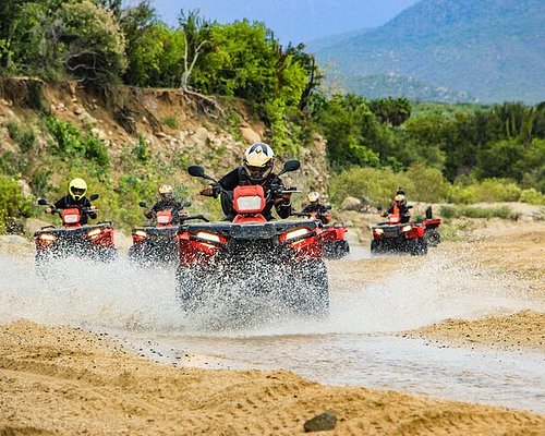 tours a cabo san lucas