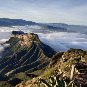 PARQUE NACIONAL EL PINAL QUERÉTARO MEXICO