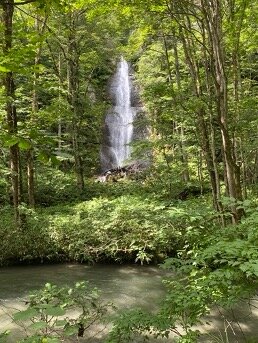 2025年 白糸の滝 - 出発前に知っておくべきことすべて