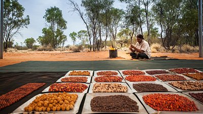 Bush tucker during a Karrke Aboriginal Cultural Experience