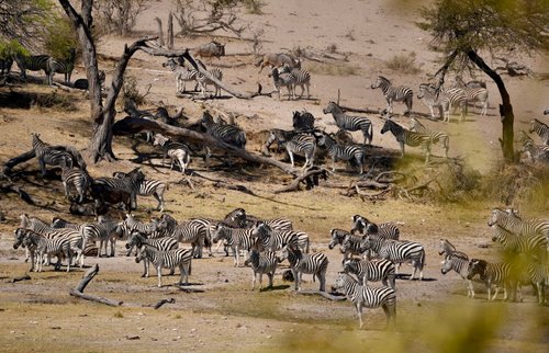 LEROO LA TAU - Updated 2023 Prices & Lodge Reviews (Makgadikgadi Pans ...