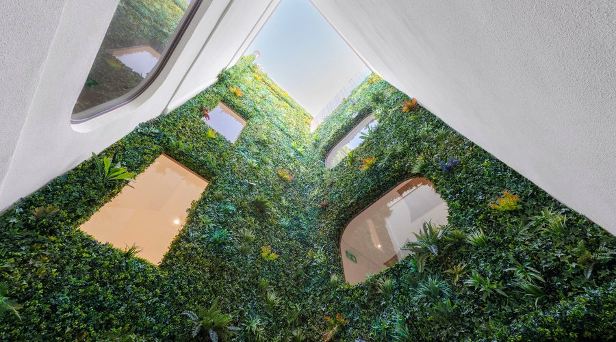 Patio interior con jardín vertical || Inner courtyard with vertical garden