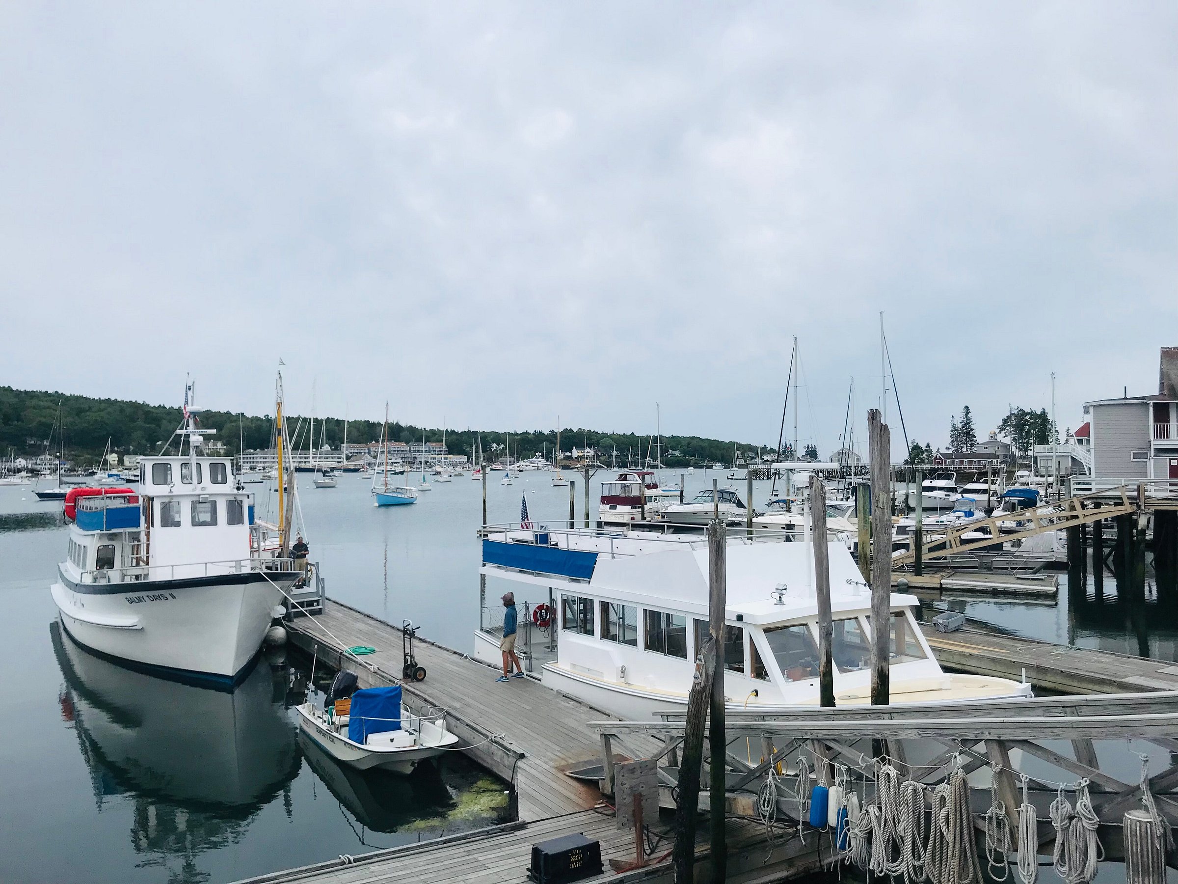 balmy day cruises boothbay