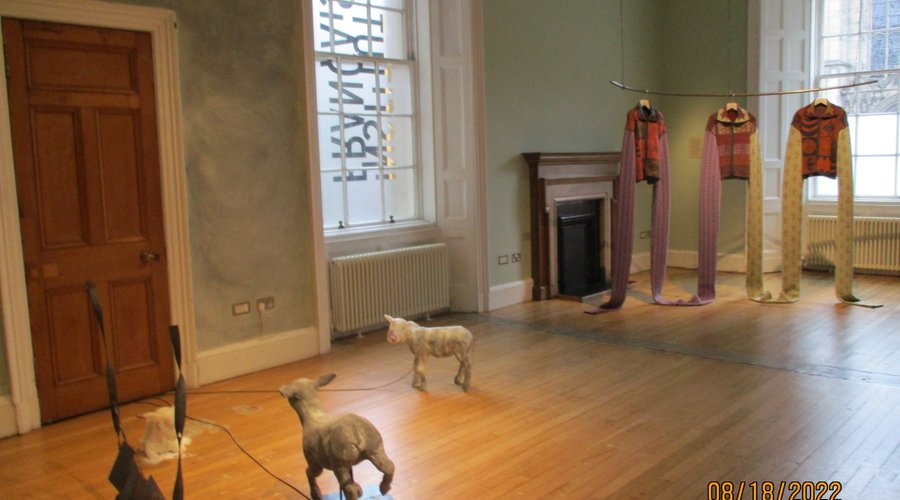 Cast Lambs