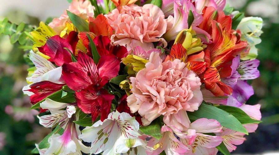 A beautiful bouquet awaiting its flower delivery. 