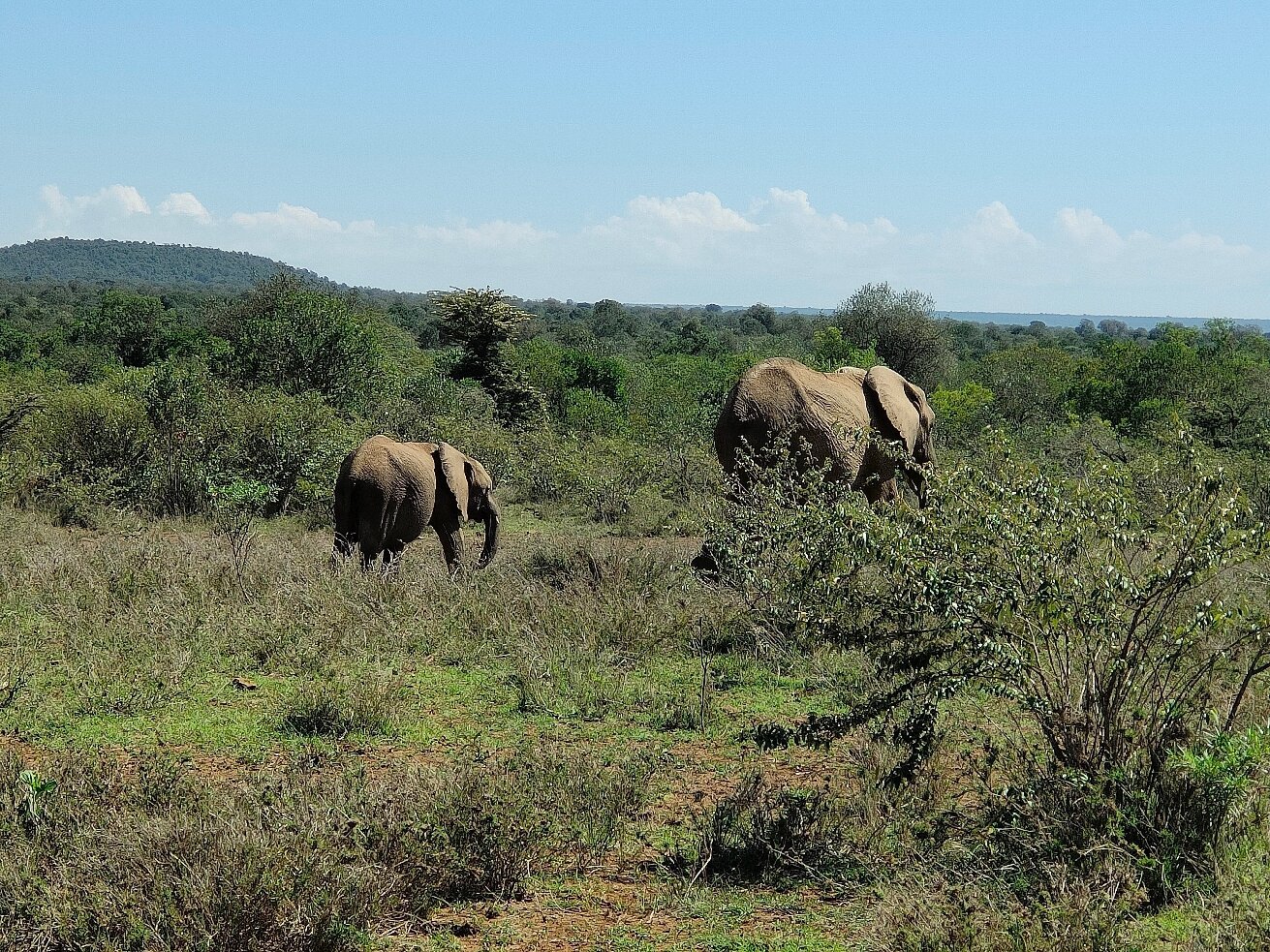 KANAGA AFRICA TOURS (Nairobi): Ce Qu'il Faut Savoir