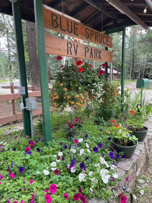 Escape to the Pines: Colorado Blue Spruce RV Park, Your Gateway to Adventure