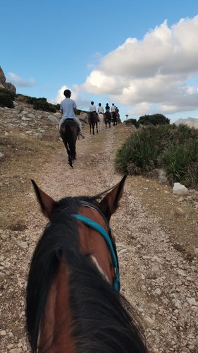 Pikeur Cap-Horse Ride stile Country con Lustrini Outdoor Estate proteggere cotone Peak 