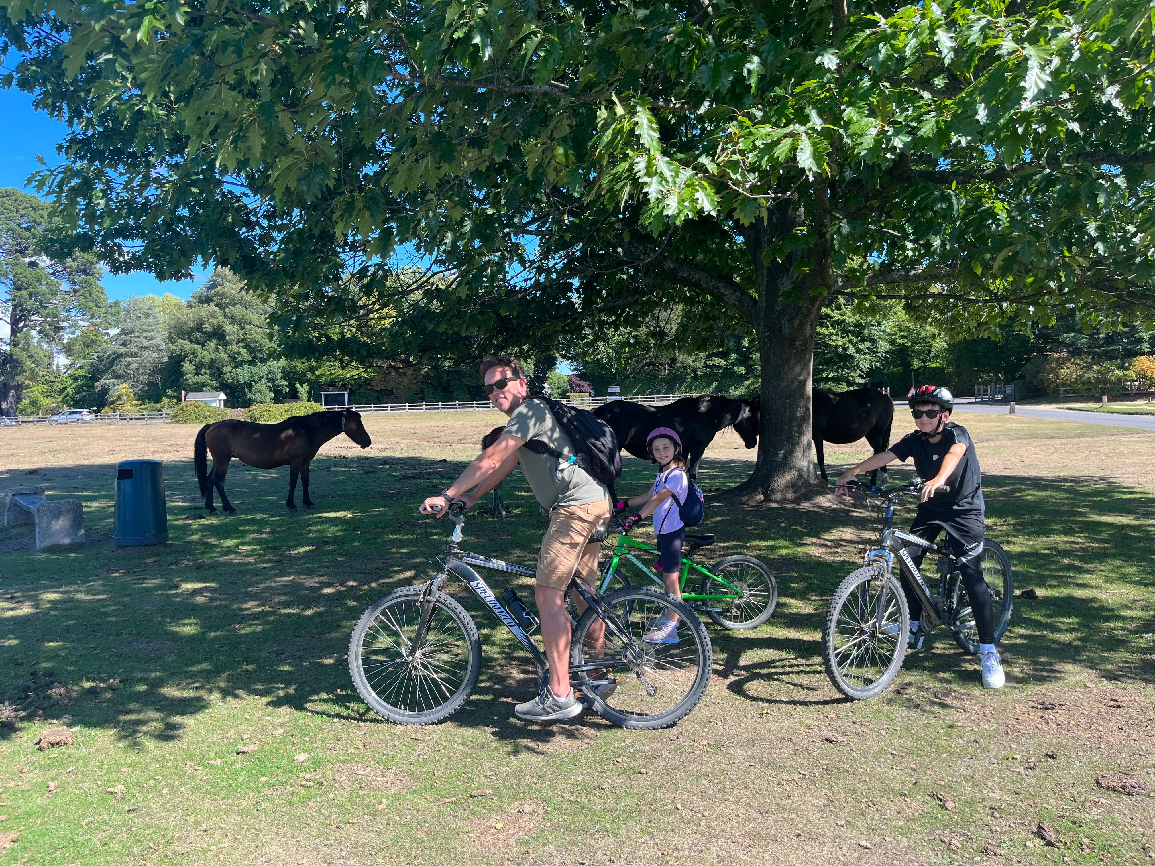 aa bike hire new forest