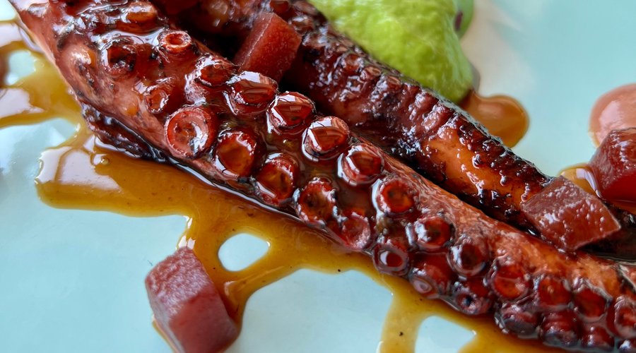 Polpo al bbq, ‘nduja calabrese, melassa di cipolla, prugna in agrodolce e spuma di lattuga caramellata
