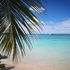 Silvia_travelagent