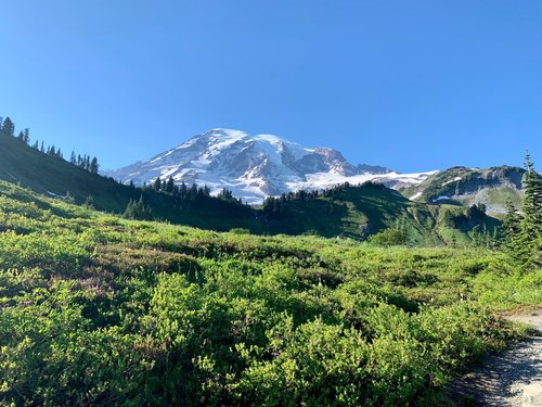 Mount Rainier National Park review images
