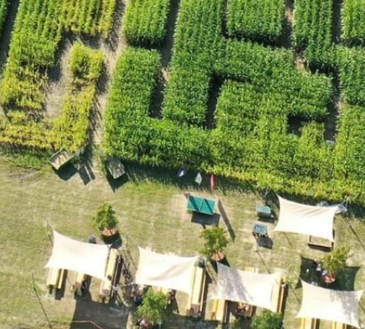 STEINHOF MAISLABYRINTH Tutto quello che c'è da sapere (2025)