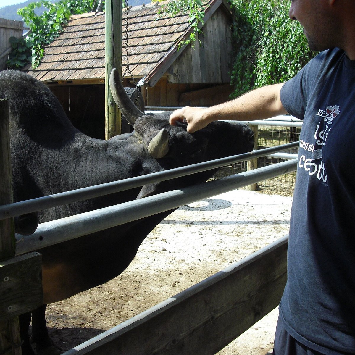 MINI ZOO LAND (Slovenske Konjice) All You Need to Know BEFORE You Go