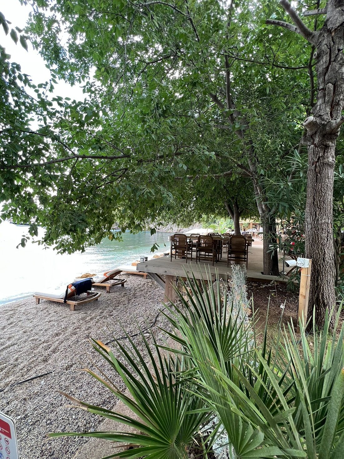 yazz-collective-bewertungen-fotos-fethiye-t-rkei-tripadvisor