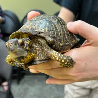 Reptilia Zoo and Education Centre Vaughan - All You Need to Know BEFORE ...