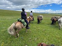 Stone Horse Expeditions & Travel - Day Tours (Ulaanbaatar) - All You ...